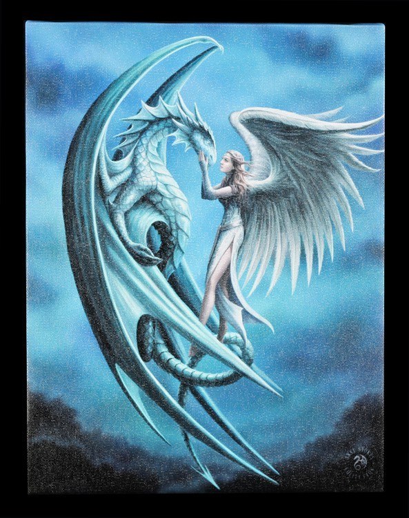Small Canvas - Silver Back by Anne Stokes
