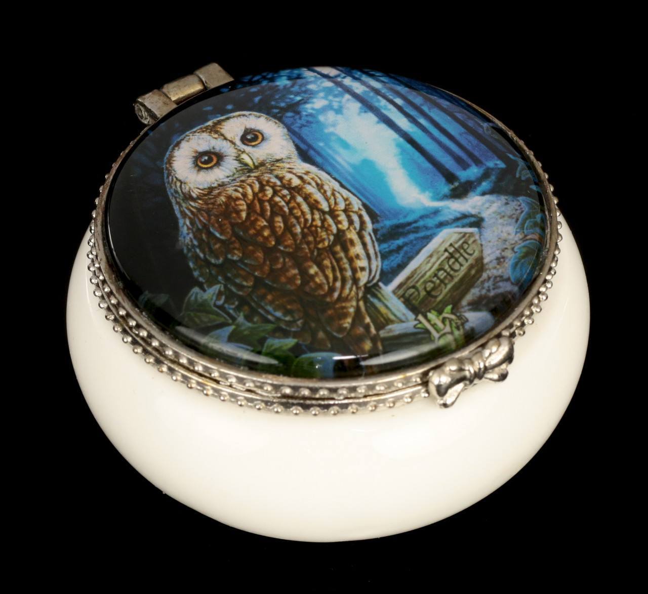 Trinket Box Owl - Way of the Witch