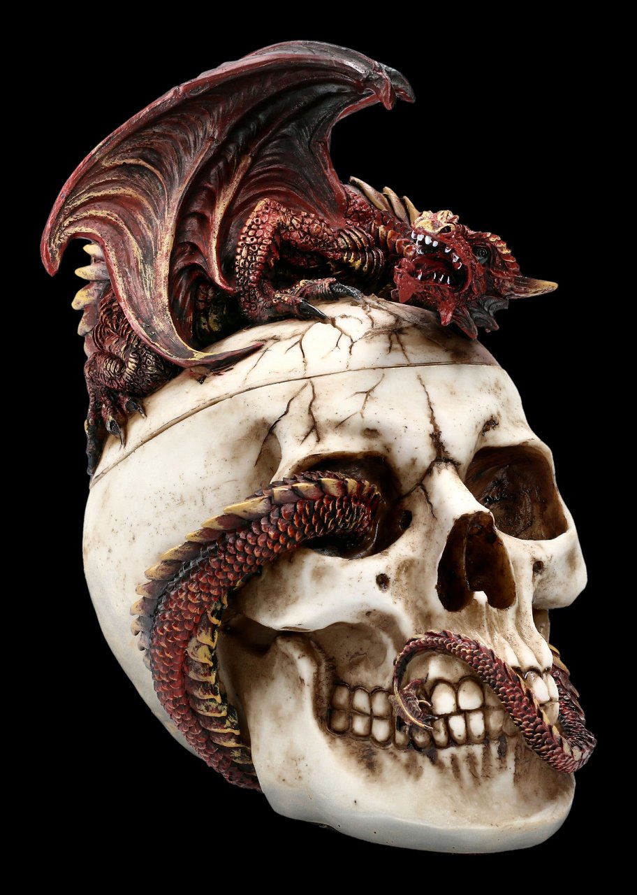 Totenkopf Schatulle mit Drache - Draconic Craniotomy