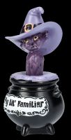 Cat Figurine - My Lil Familiar - Shadow