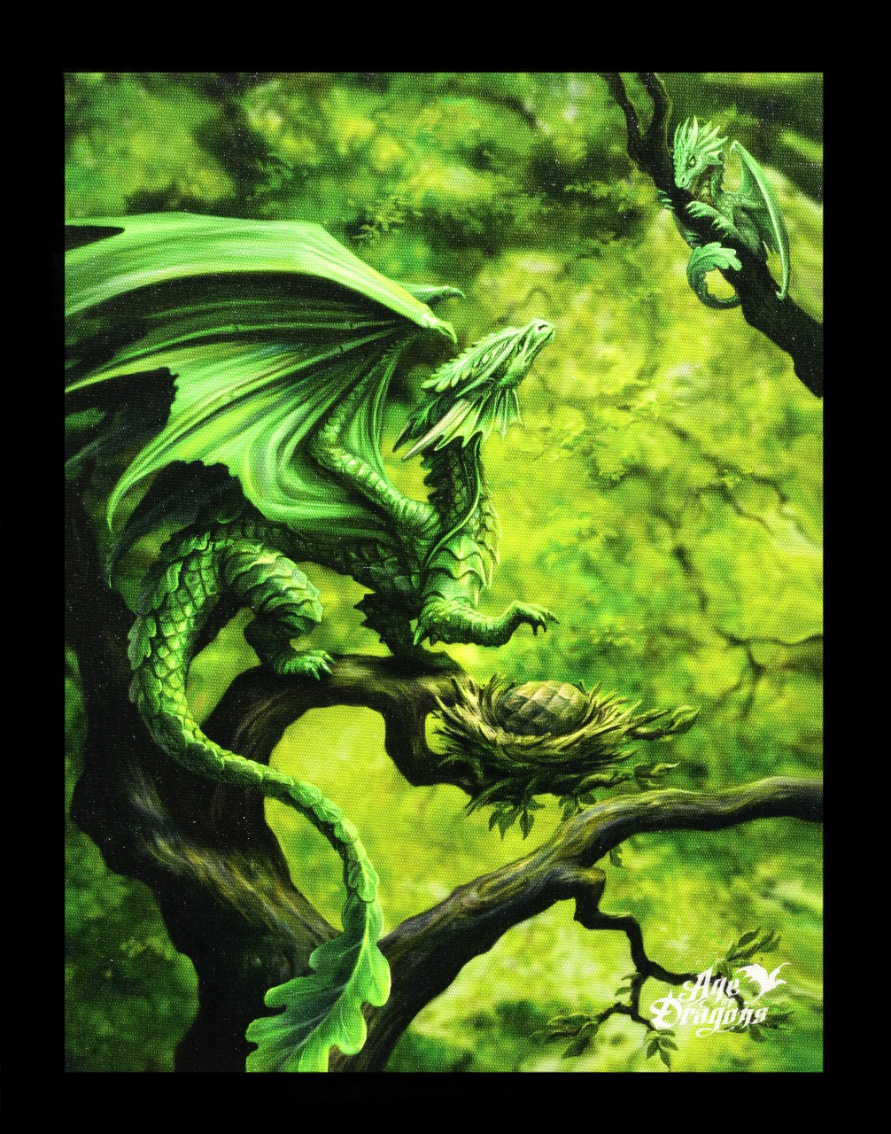 Small Canvas - Age of Dragons - Forest Dragon