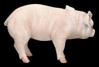 Pig Figurine - Piggy
