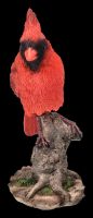 Vogel Figur - Wackelnder Roter Kardinal