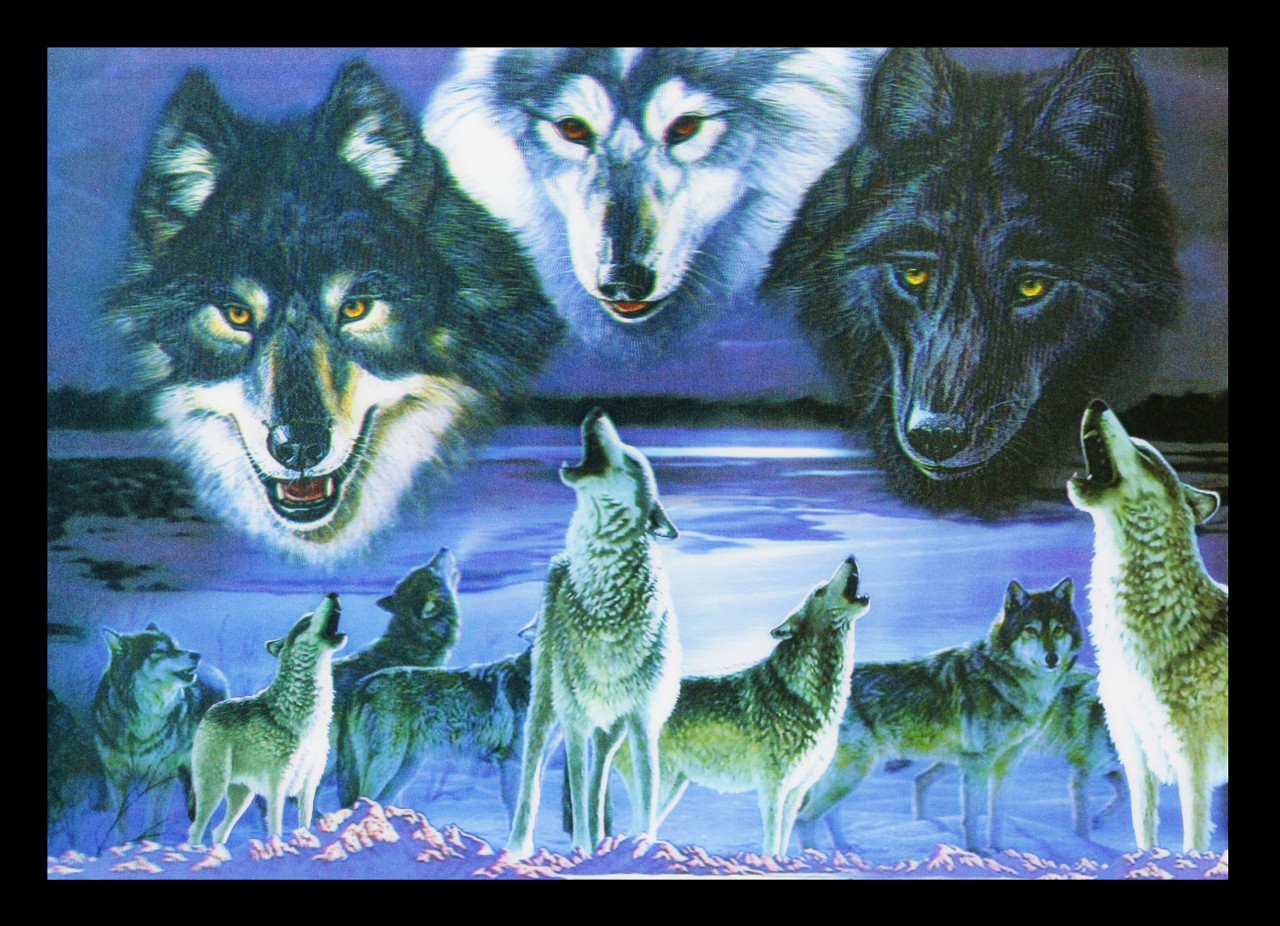 3D-Picture with Wolves - Wolf pack