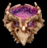 Tray Dragon Skull - Geode
