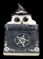 Owl Figurine Witch - Owl's Spell
