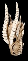 Wall Ornament - Dragon Skull Kryss