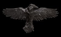 Alchemy Hair Clip - Raven
