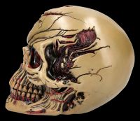 Zombie Totenkopf Figur - The Walker of Death
