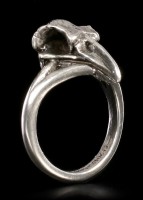 Alchemy Gothic Ring - Kleiner Rabenschädel