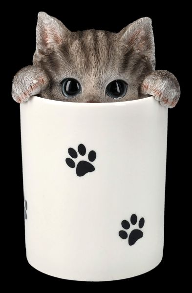 Treat Box - Grey Cat