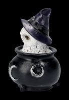 Owl Figurine in Witches Cauldron - Owl&#39;s Brew