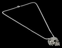 Alchemy Skull Necklace - Remains