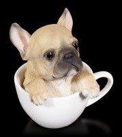 Dog in Cup - French Bulldog