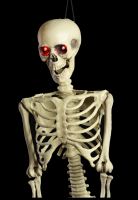 Halloween Decoration Skeleton 90 cm - LED Eyes