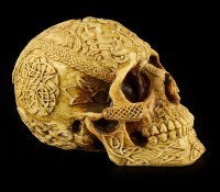 Skull with Celtic Symbols