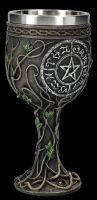 Witch Goblet with Pentagram