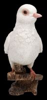 Garden Figurine - White Dove - Diamond Dove