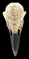 Totenkopf - Rabenschädel mit mytischen Symbolen