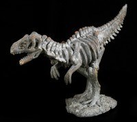 Dinosaur Figurine - Small Tyrannosaurus Rex Skeleton