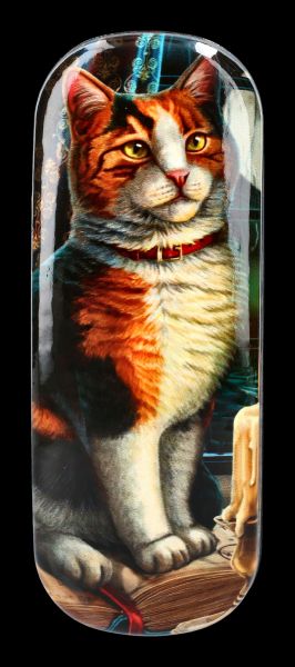 Glasses Case Cat - Adventure Awaits