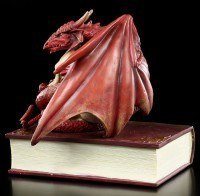 Dragon on Book Box by Anne Stokes