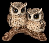 Baby Owls on Branch Decoration Figurine