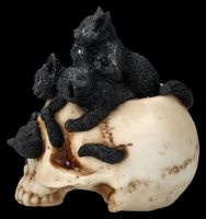 Totenkopf mit Katzenbabys - Cranial Litter
