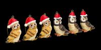 Christmas Tree Decoration - Brown Owls Set of 6