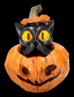 Katzenfiguren im Kürbis - Drei weise Katzen 3er Set