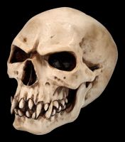 Orc Skull - Collectible
