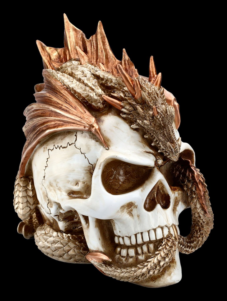 Alchemy Totenkopf mit Drache - Dragon Keeper's Skull