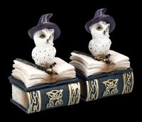 Snowy Owl Box - Wizard Set of 2