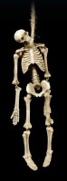 Skeleton Figurines for Hanging - Set of 2