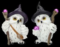 Owl Figurines Set of 2 - Wizard with Wand