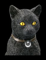 Katzen Figur mit Witchboard - Ouija Cat