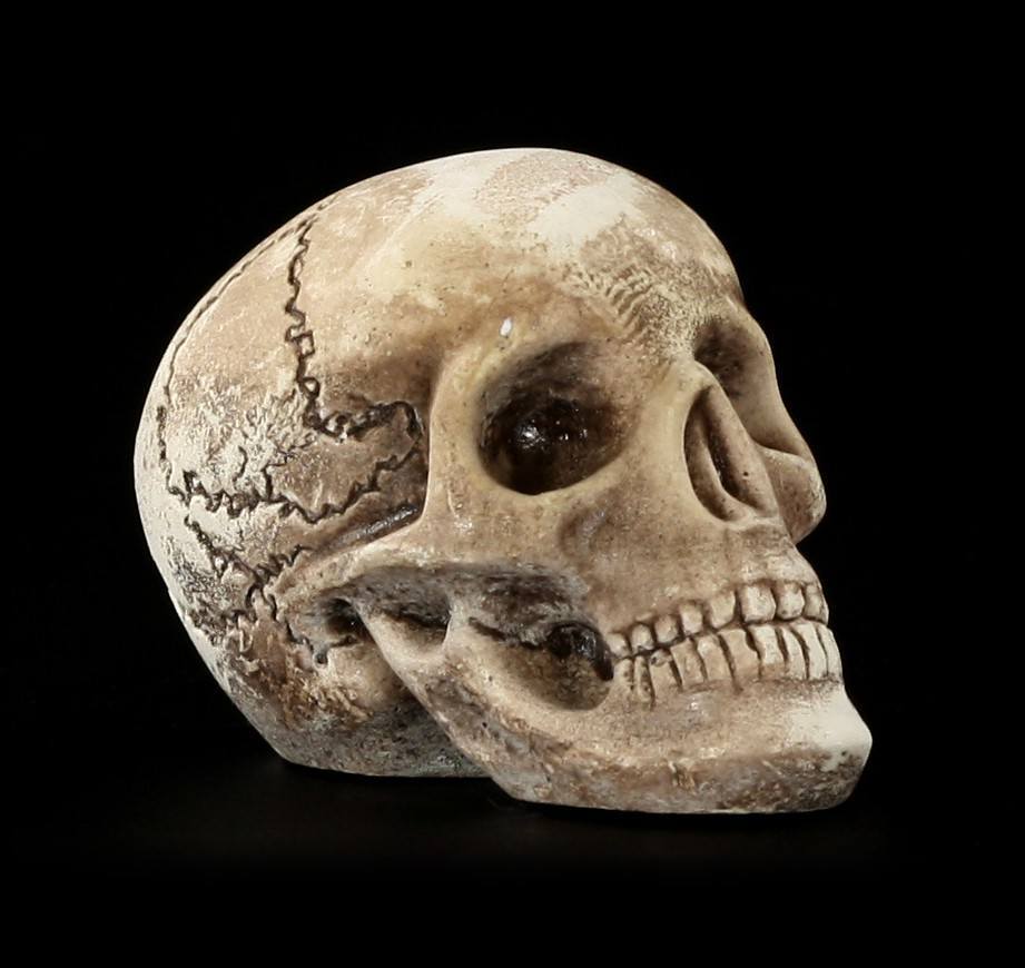 Skull human - mini