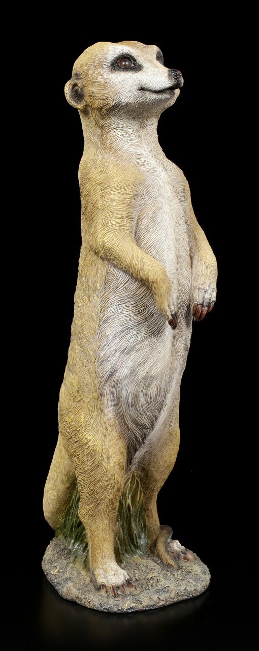 Garden Figurine - Alerted Meerkat