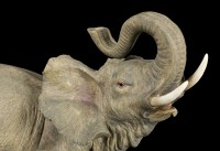 Große Elefanten Figur mit erhobenem Rüssel