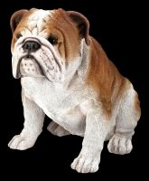 Bulldoggen Figur sitzend