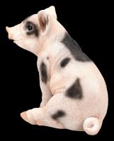 Pig Figurine - Spotted Piglet