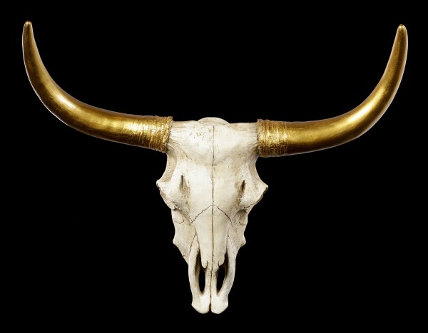 Wall Plaque Bull Skull - Golden Horns