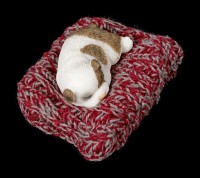 Kleine Hunde Figur schlafend auf roter Decke
