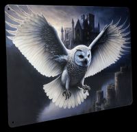 Metal Sign - Owl Messenger