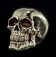 Skull - silver colored