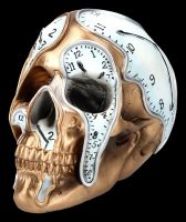 Skull with Clocks - Time Goes By
