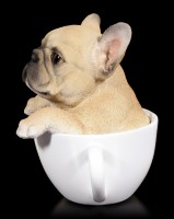 Hund in Tasse - Französische Bulldogge