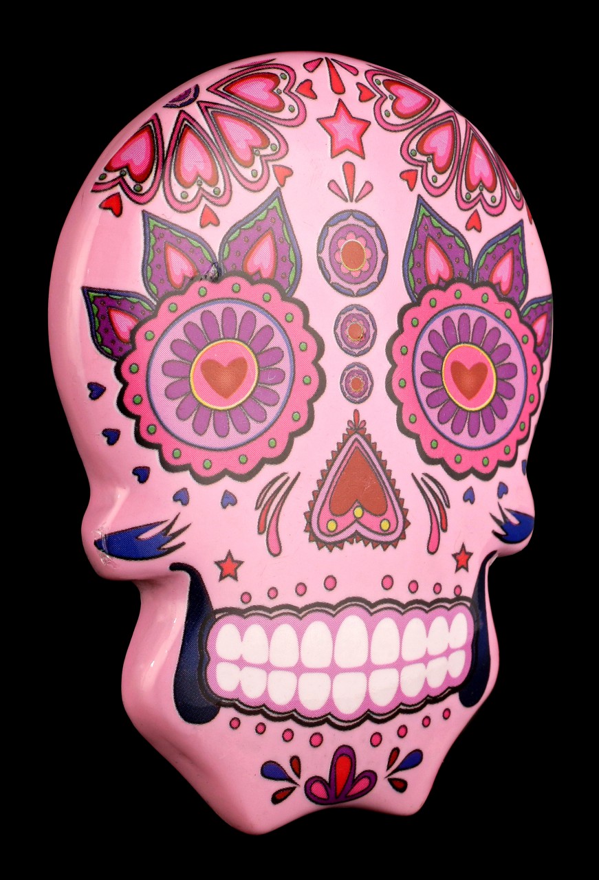 Magnet - Mexican Day of the Dead Skull - Pink