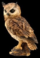 Long-Eared Owl Figurine - large