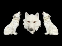 Fridge Magnets - White Wolves